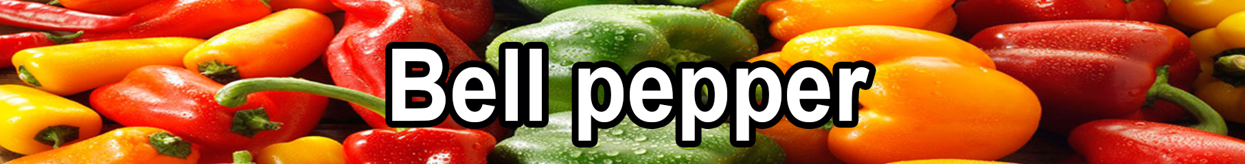 bell pepper